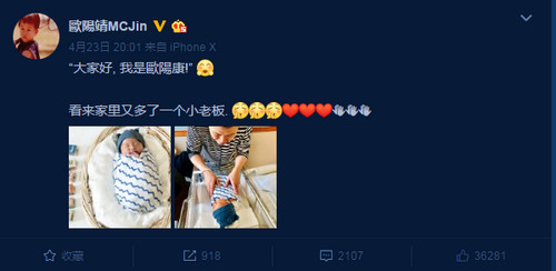 欧阳靖在微博晒出二胎儿子照片，并公布儿子中文名