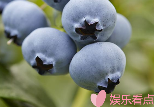 蓝莓是酸的还是甜的？蓝莓是甜的还是酸的？