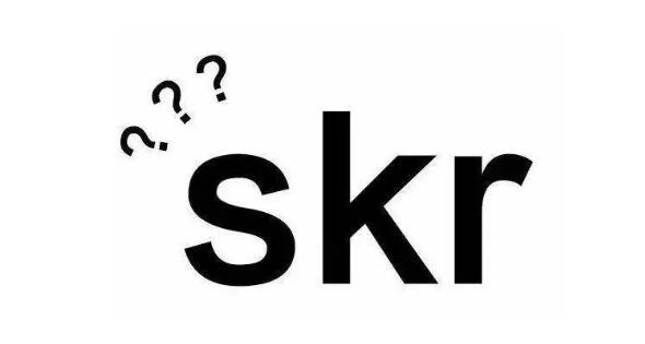 skr是什么梗